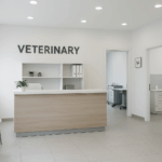 Vet Clinic Renovation Trends for 2025: What Animal Care Spaces Need Now